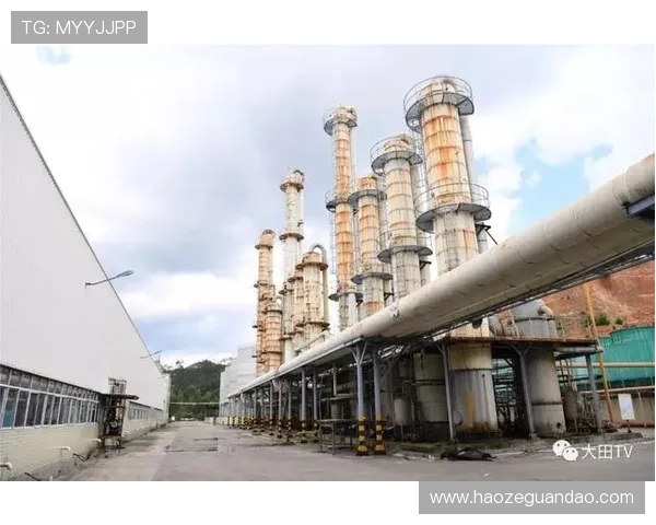 汉川企业家奋力创新推动地方经济高质量发展新格局