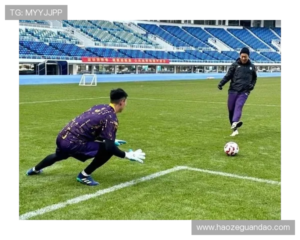 津门虎新添三名外籍助教技术升级